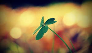 imtoken钱包领取空投