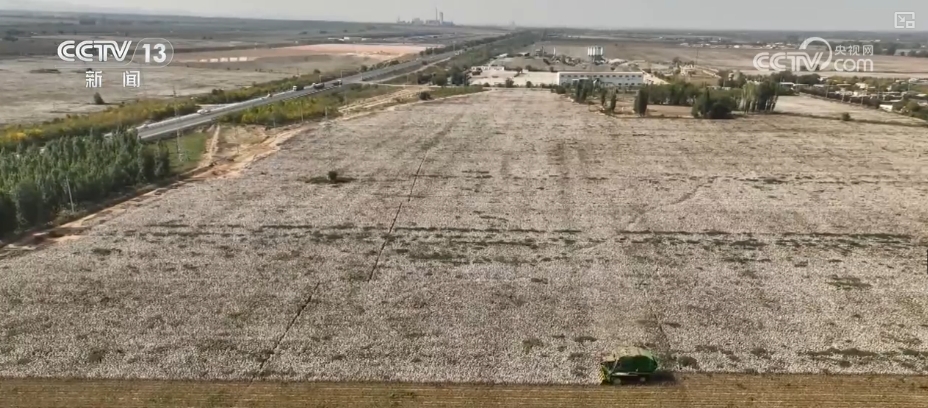稻浪轻柔，瓜果飘香，绿水青山，景色宜人。