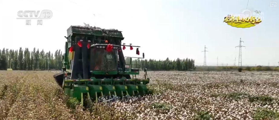 _青山绿水留浩气苍松翠柏_山青水秀花飘香