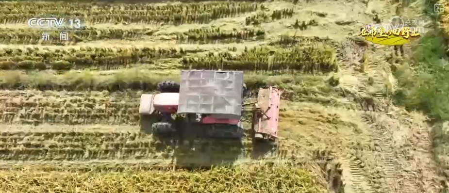 山青水秀花飘香_青山绿水留浩气苍松翠柏_