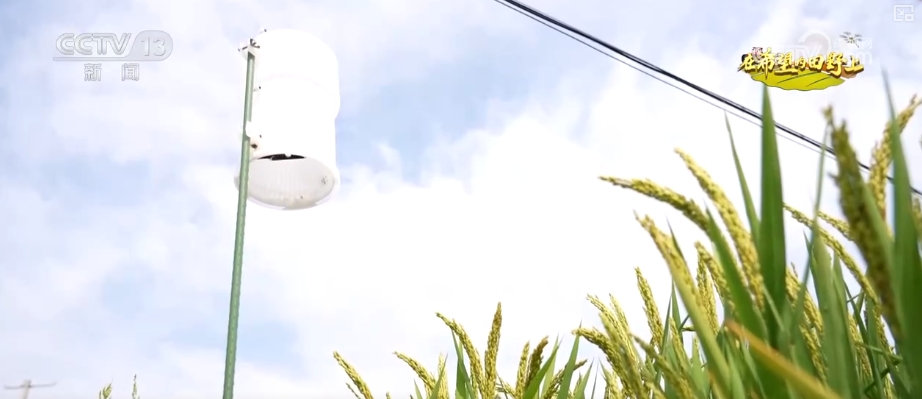 青山绿水留浩气苍松翠柏_山青水秀花飘香_