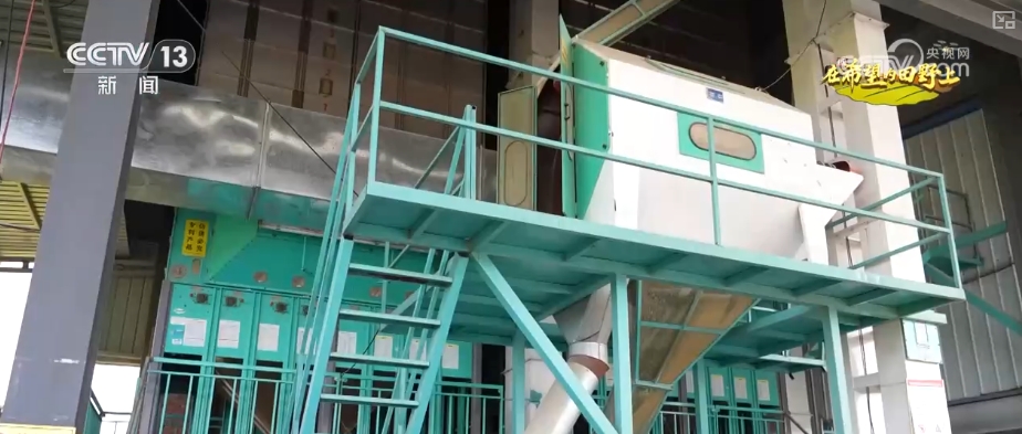 青山绿水留浩气苍松翠柏_山青水秀花飘香_