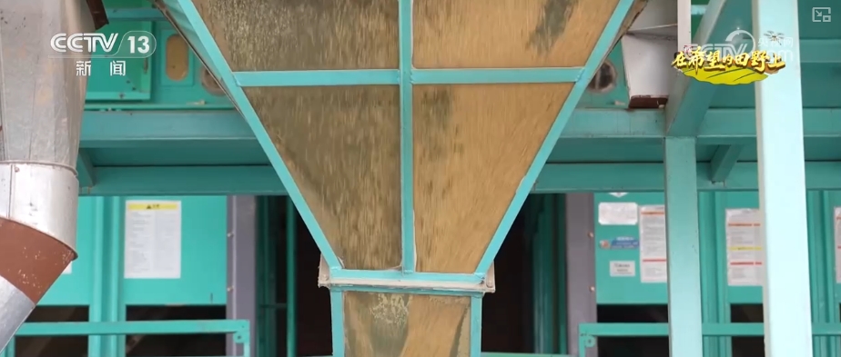 青山绿水留浩气苍松翠柏_山青水秀花飘香_