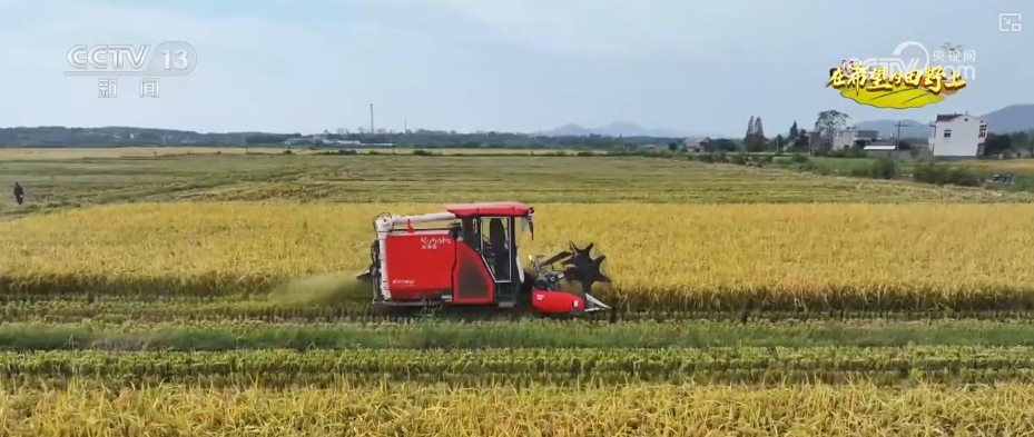 山青水秀花飘香__青山绿水留浩气苍松翠柏