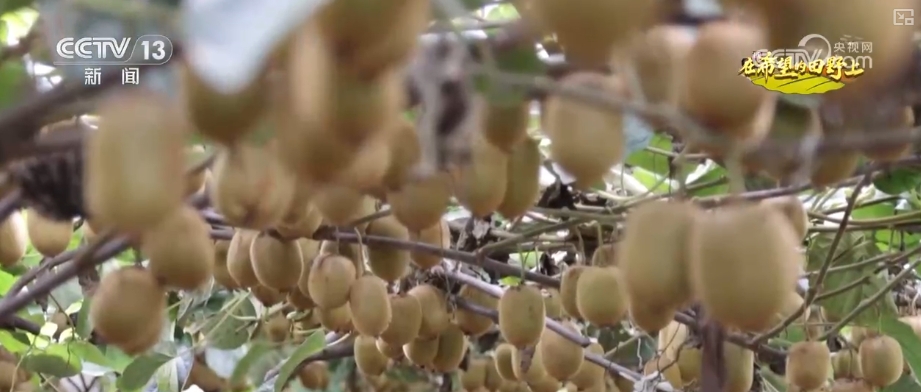 青山绿水留浩气苍松翠柏__山青水秀花飘香