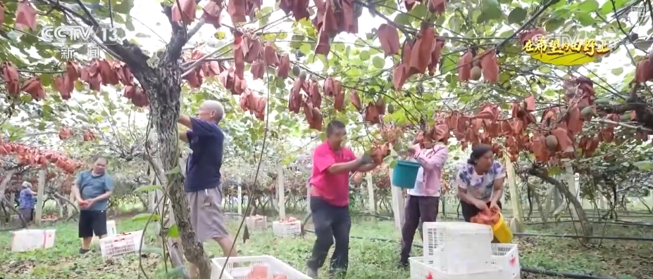 青山绿水留浩气苍松翠柏__山青水秀花飘香