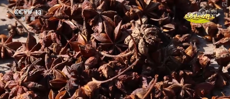 山青水秀花飘香_青山绿水留浩气苍松翠柏_