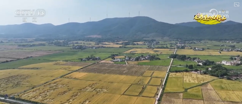 _山青水秀花飘香_青山绿水留浩气苍松翠柏