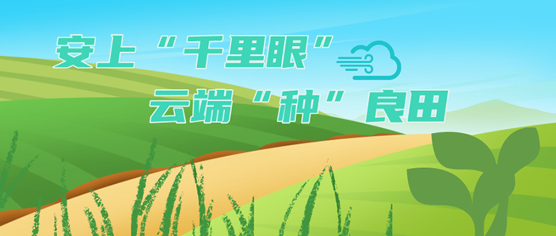 智能播种机器人_无人播种机多少钱一台_