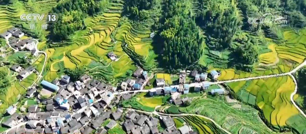 成都甜心科技有限公司__1035铝板标准