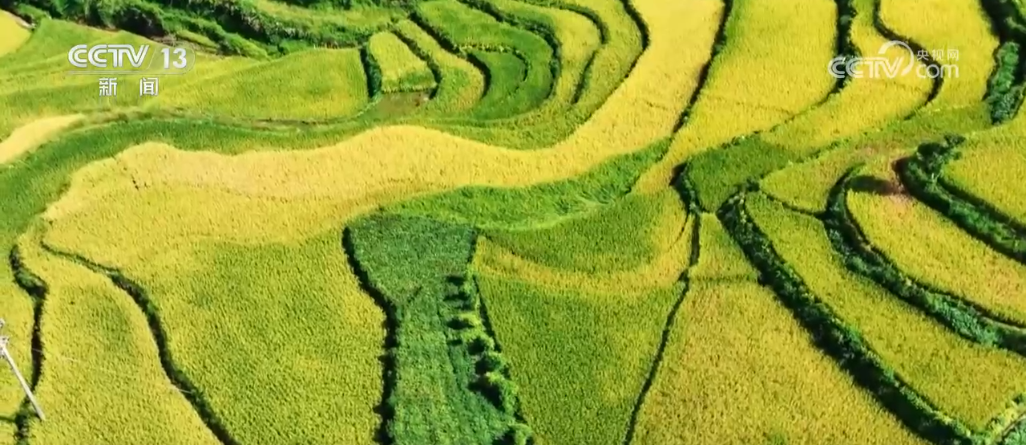 _1035铝板标准_成都甜心科技有限公司