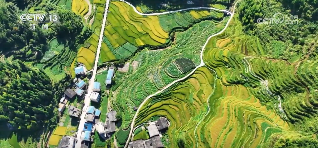 成都甜心科技有限公司_1035铝板标准_