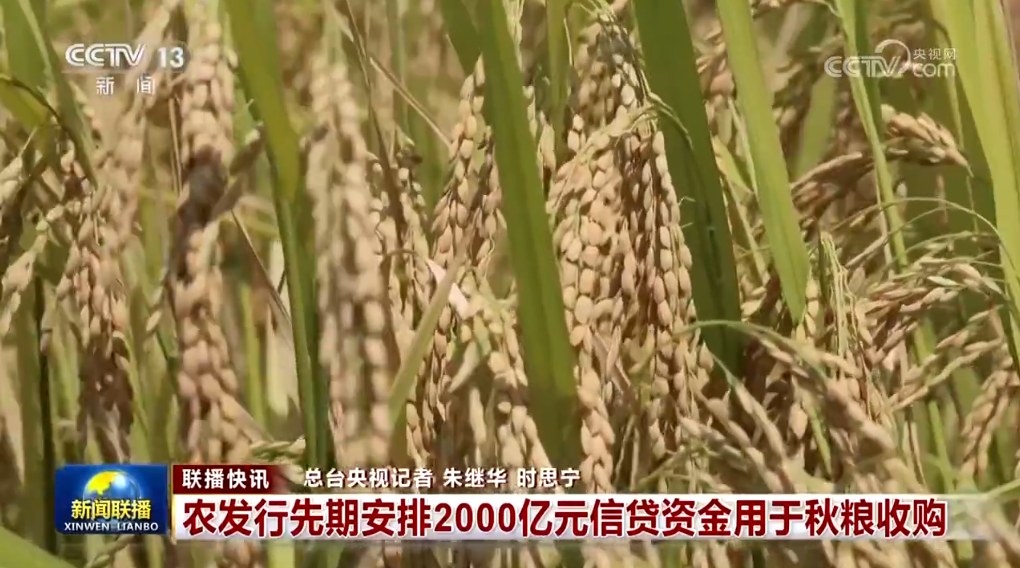 重大工程捷报频传、文旅市场热潮涌动 高质量发展稳健前行_重大工程捷报频传、文旅市场热潮涌动 高质量发展稳健前行_