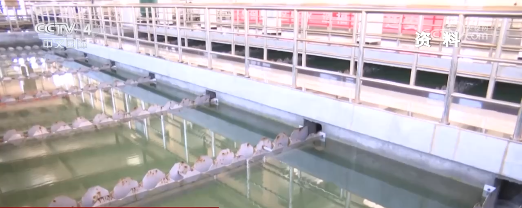 6月1日起一批新规施行_8月1日起新规_