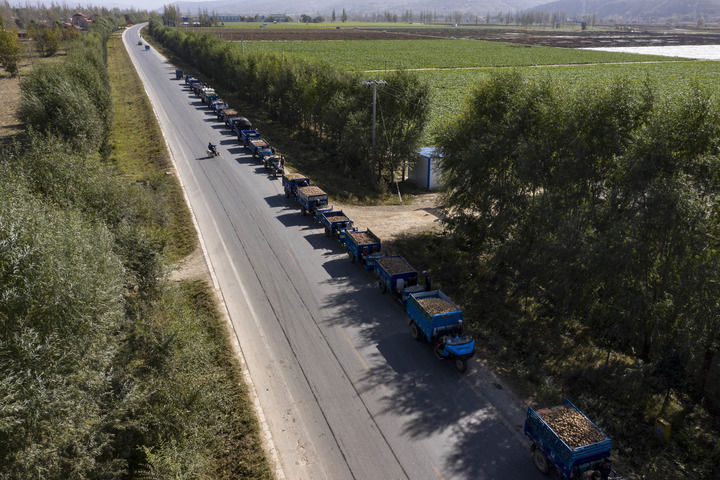 塞上江南谱新篇——宁夏铸牢中华民族共同体意识纪实__塞上江南谱新篇——宁夏铸牢中华民族共同体意识纪实