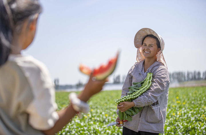 塞上江南谱新篇——宁夏铸牢中华民族共同体意识纪实_塞上江南谱新篇——宁夏铸牢中华民族共同体意识纪实_