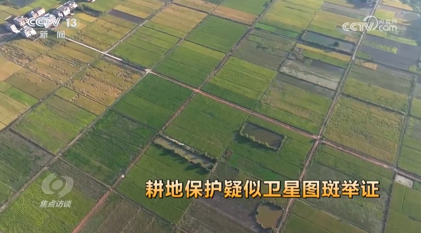 焦点访谈为基层减负__履职能力访谈