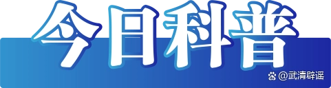 今日辟谣(2024年12月2日)__今日辟谣(2024年12月2日)