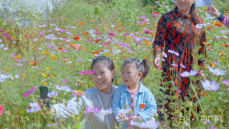 _墨韵茶叶_茶韵墨香居电话