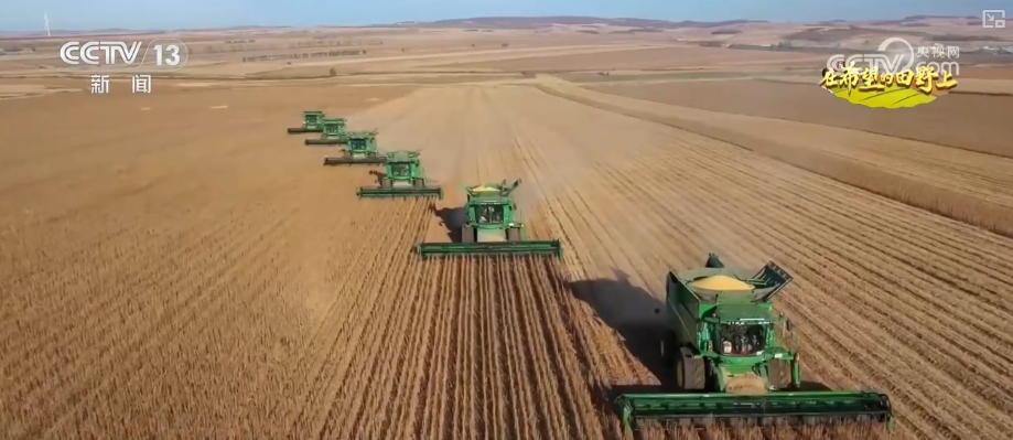 田野上画着一幅丰收的图画，果实芬芳，五谷充满希望。