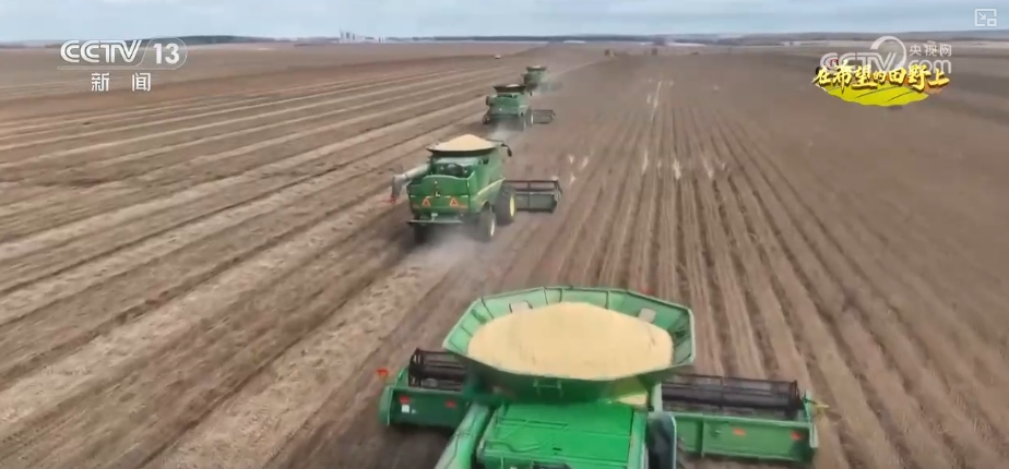 _田野丰收图片简笔画_丰收田园画