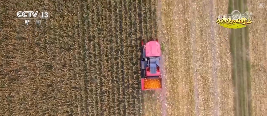 田野丰收图片简笔画__丰收田园画