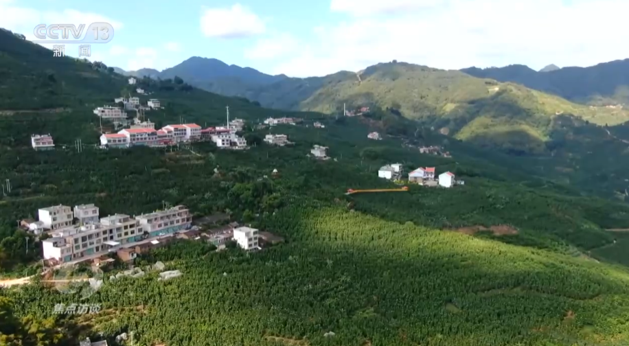 焦点访谈：推进乡村全面振兴取得新成效