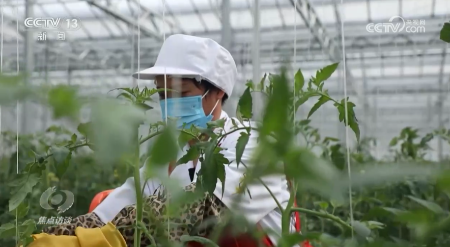 _乡村振兴访谈录_乡村振兴访谈