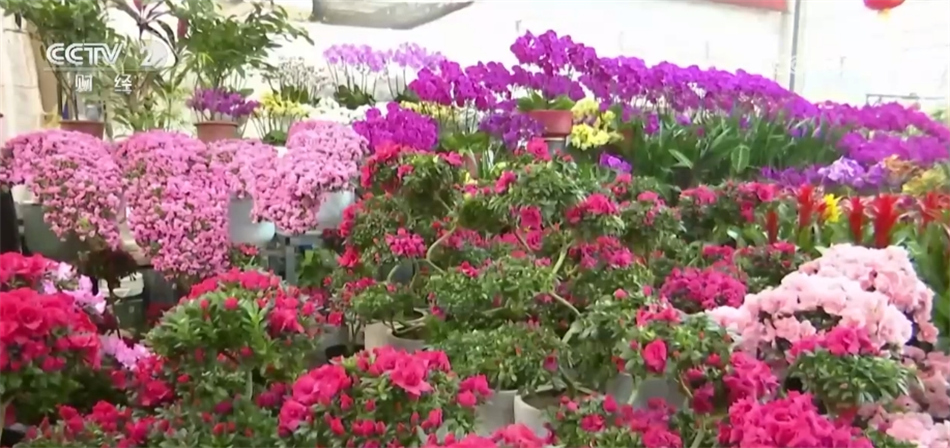 葫芦古镇作文_出口产品结构怎么写_