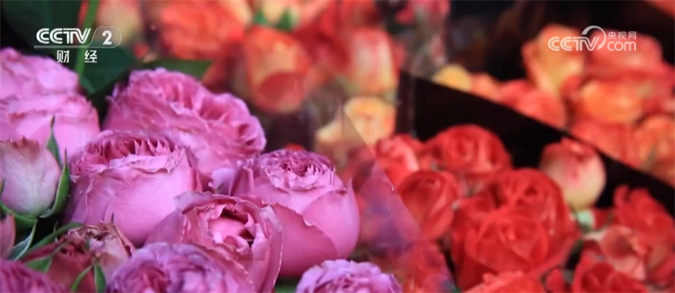 _葫芦古镇作文_出口产品结构怎么写