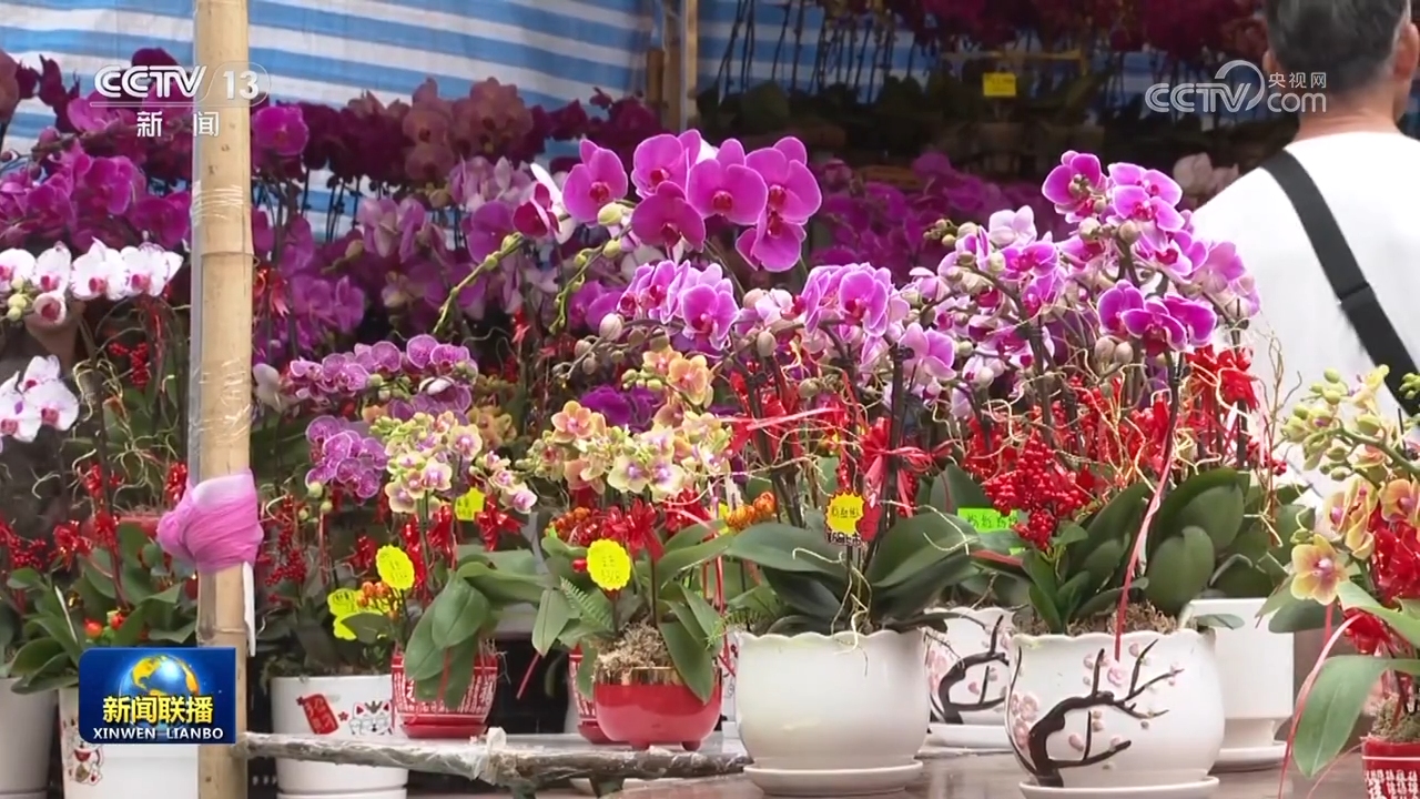 各地多种形式迎新春