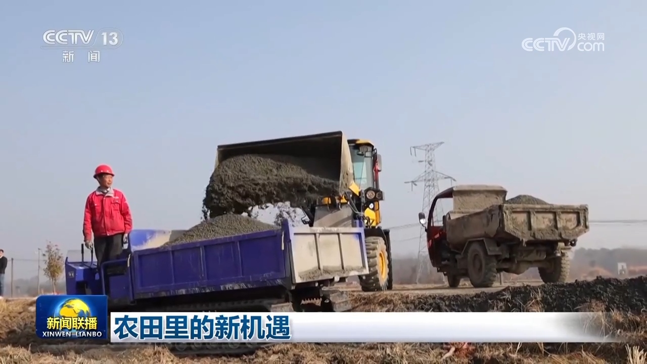 农田里的新机遇