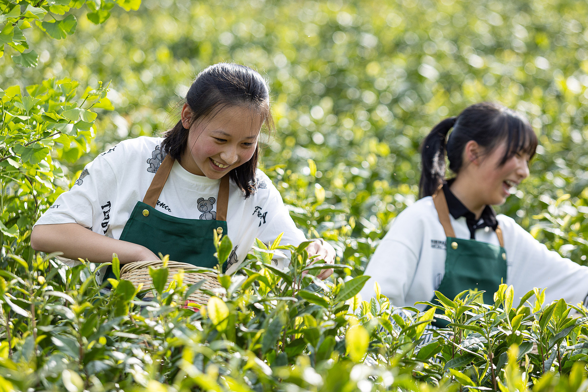 旅游融合业态__旅游融合产业