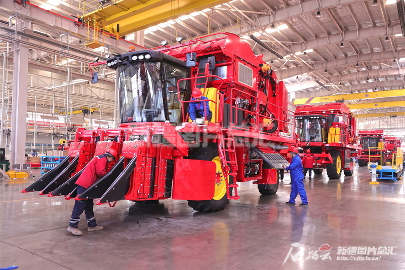 _新疆建设兵团98年玉林_新疆生产建设兵团兵团