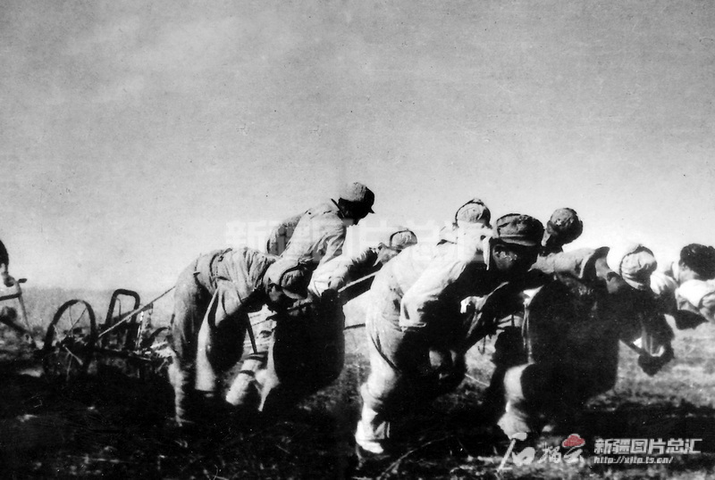 新疆建设兵团98年玉林_新疆生产建设兵团兵团_