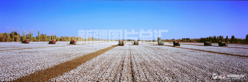 新疆生产建设兵团兵团__新疆建设兵团98年玉林