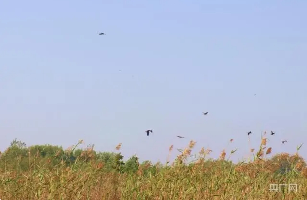 宜昌余海波__如何修改微信群名称备注