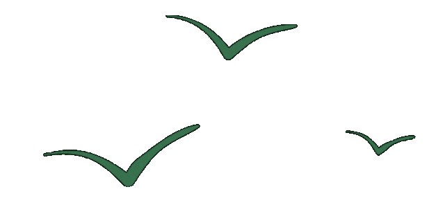 _“谷子经济”如何引领零售新风向_“谷子经济”如何引领零售新风向