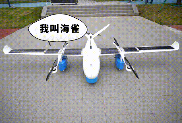 【你好，小镇】浙江油车港：科创绘新颜__【你好，小镇】浙江油车港：科创绘新颜