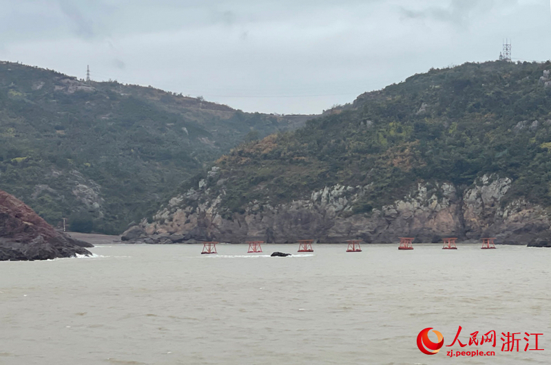 全国首个大黄鱼智能无网声波海洋牧场。人民网记者 王丽玮摄