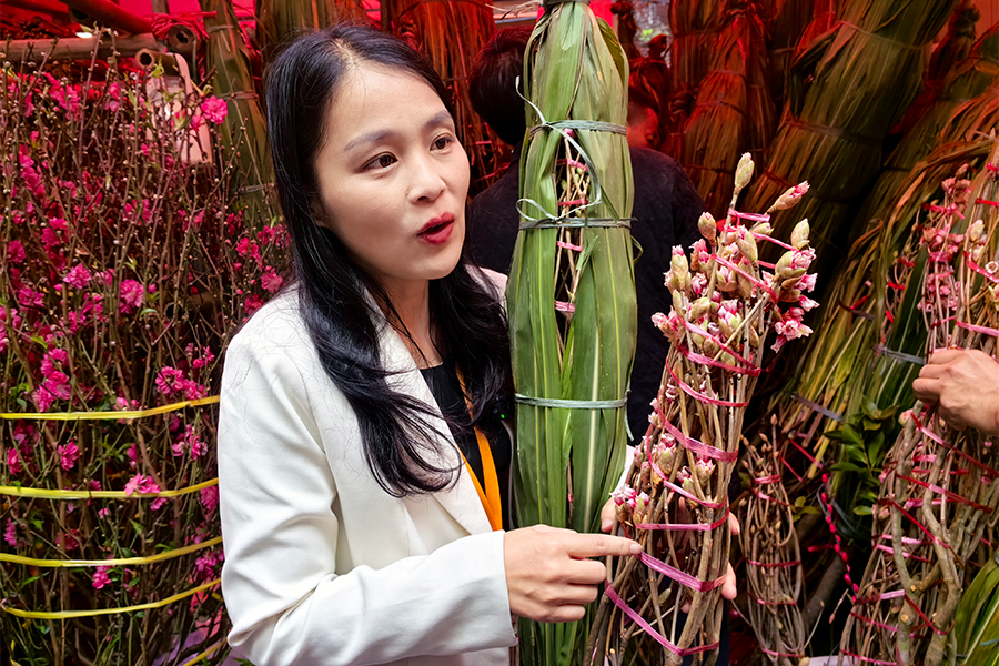 _广州文化节走秀_广州走秀有什么场地