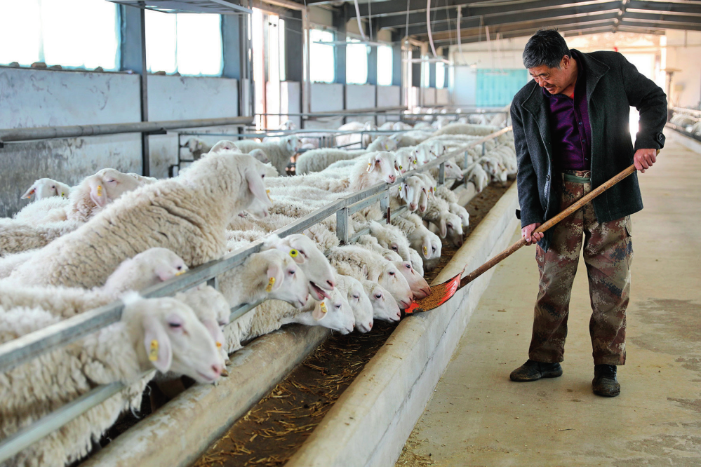 瞭望·治国理政纪事｜走好“特”“优”农业发展之路_瞭望·治国理政纪事｜走好“特”“优”农业发展之路_