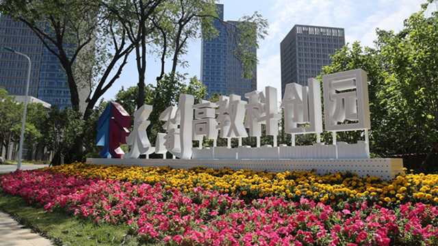 一座公园、一座港口、一枚徽章见证天津的绽放