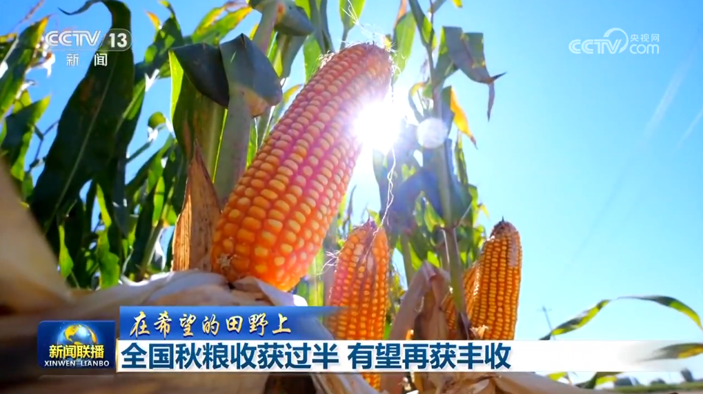 增量部署__增量政策措施