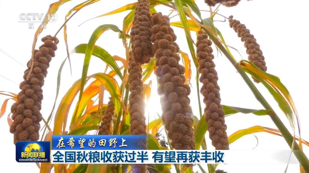 _增量政策措施_增量部署