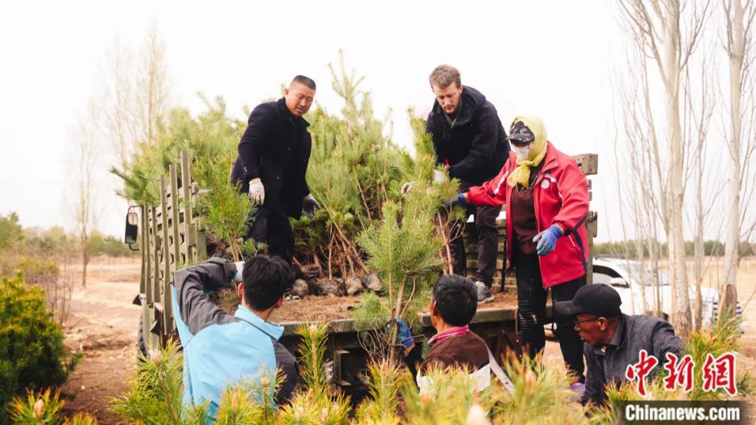 _中国小伙和三个美国妞_中国小伙美国非诚勿扰