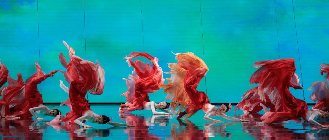 _锦鲤跃龙门视频_锦鲤跃龙门插画