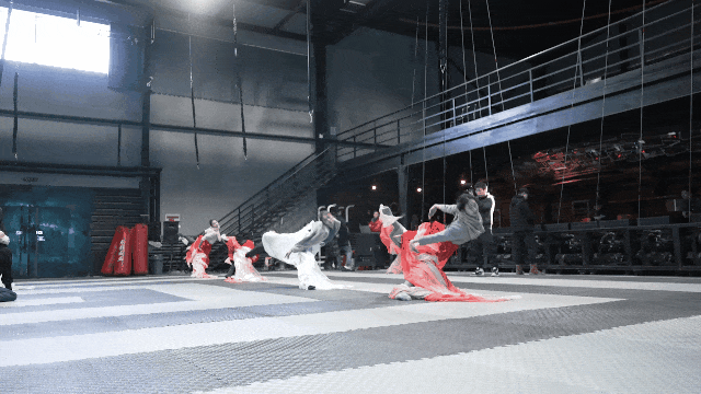 锦鲤跃龙门视频__锦鲤跃龙门插画