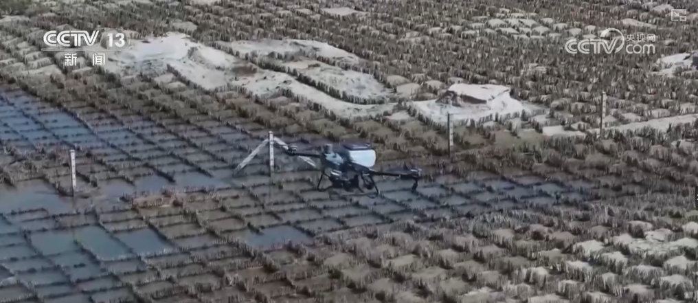 万物清新什么意思_万物清新_