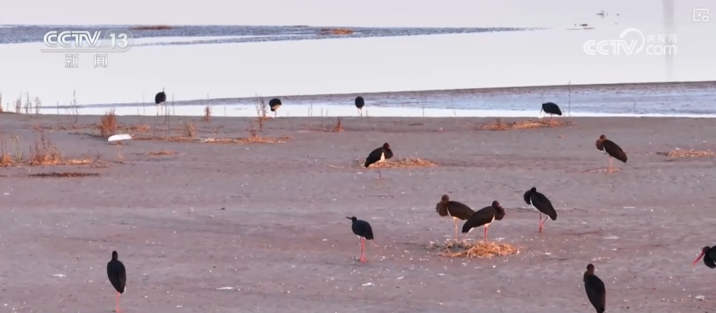 _万物清新_万物清新什么意思